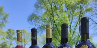 Міжнародна компанія виготовлятиме в Україні унікальне вино з власним генетичним кодом