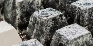 Київська сироварня варить унікальні сири — з хвоєю, рожевою м’якоттю та вугіллям