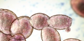 Стартап зібрав із молекул смак пива. На черзі – їжа та парфуми