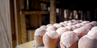 Сіль із яєць динозавра за 6 тисяч: сімейна компанія відроджує забуте ремесло