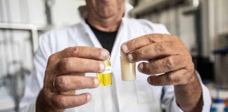 Стартап вирощує на дріжджах олію, яка замінить соняшникову та пальмову