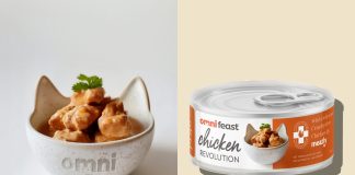 Британських котів годуватимуть курятиною із клітин. Отримано перший дозвіл