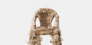 На рисовому лушпинні та кавових відходах: китайці вирощують живі меблі із грибів