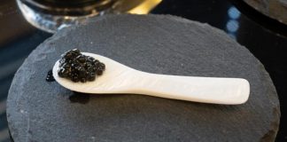 Стартап вирощує у лабораторії чорну ікру на звичайному грибному корінні