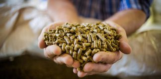 Світова компанія, яка має офіс в Україні, братиме участь у виробництві ароматизаторів для рослинного м’яса