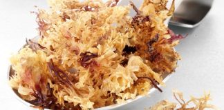 Слава моху: у морозиво та цукерки почали додавати ірландський мох — сприяє зниженню ваги