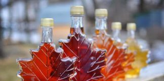 У пиво та шоти доливають кленовий сік: допомагає відновитися після спорту