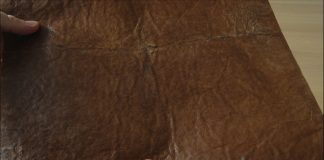 Модні бренди шитимуть речі зі справжньої шкіри, яку вперше виростили в лабораторії