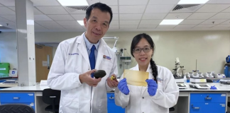 Вчені створили упаковку, яка змінює колір, коли псуються продукти