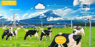 Розумні ферми: як штучний інтелект змінює сільське господарство?