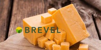 Сир та м’ясо із водоростей: ізраїльтяни запустять великий «рослинний» завод