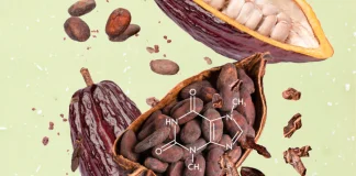Штучний інтелект розробив формулу лабораторного какао. Ціни б’ють рекорди.