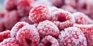 Україна стала світовим лідером з експорту замороженої малини, випередивши Польщу та Сербію