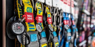 Український виробник Collar зайшов у одну з найбільших мереж зоомагазинів США