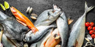 Mars контролюватиме походження морепродуктів у кормах