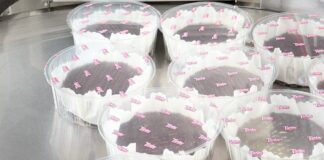 Alviva Group збільшує експорт кондитерської продукції