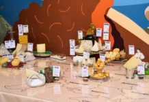 В Україні з’явилася перша сирна мапа