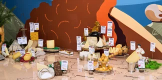 В Україні з’явилася перша сирна мапа