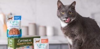 Optimeal запускає нову лінійку корму для котів у США