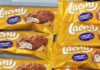 Roshen запустив виробництво морозива