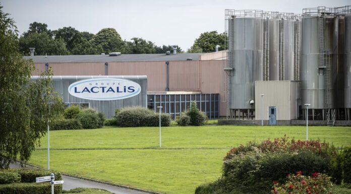 Lactalis придбала британського виробника спортивного харчування