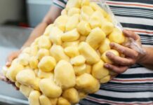 На Житомирщині збудують завод із переробки картоплі